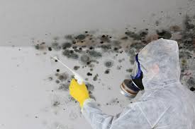 Best Air Quality Testing for Mold Spores  in Lancaster, TX